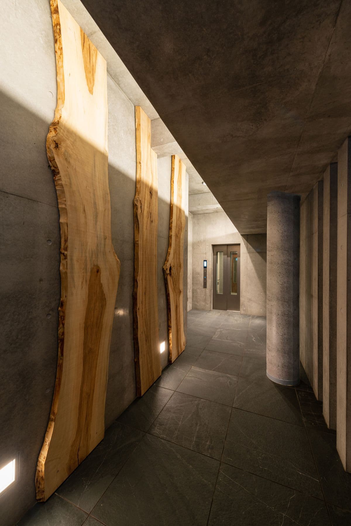 ヒラソール和光Ⅱ 8