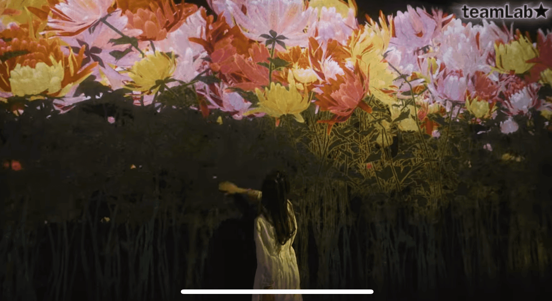 オールひめじ・アーツ＆ライフ・プロジェクト